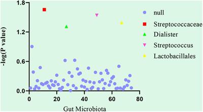 Large-scale correlation analysis of deep venous thrombosis and gut microbiota
